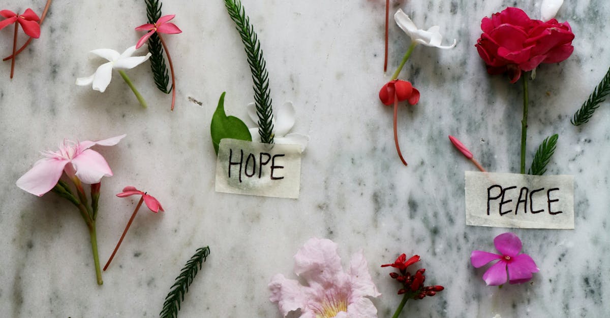 What not to do as a consultant?